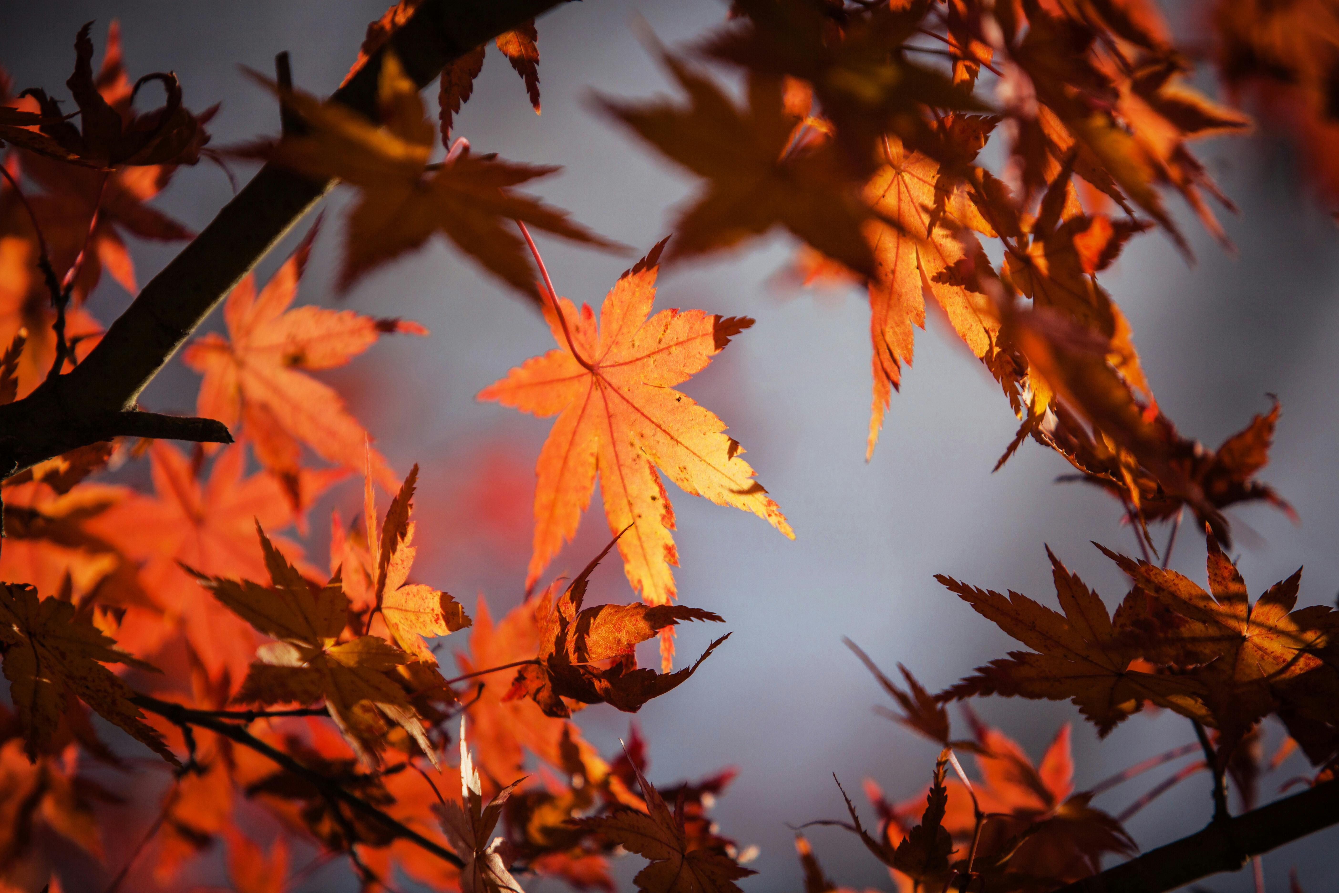 Cover Image of the Post